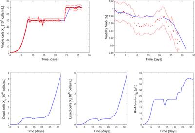 Model-based intensification of CHO cell cultures: One-step strategy from fed-batch to perfusion